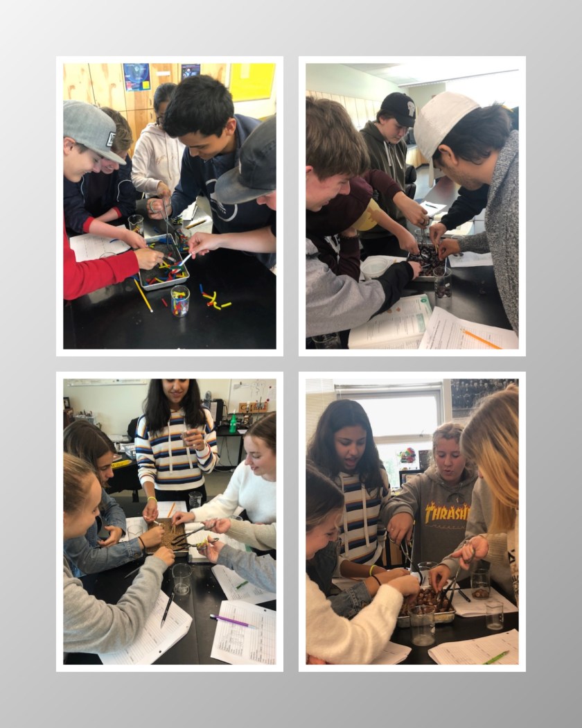 Wilkie Science 09:19.jpg